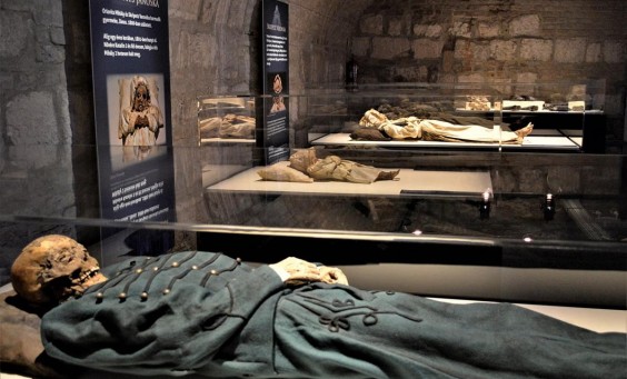 Studying in Europe, Visit the Mummies