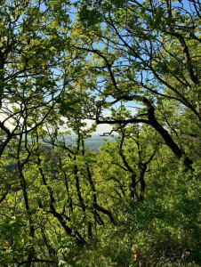 Képernyőfotó 2026-03-05 - 11.27.32